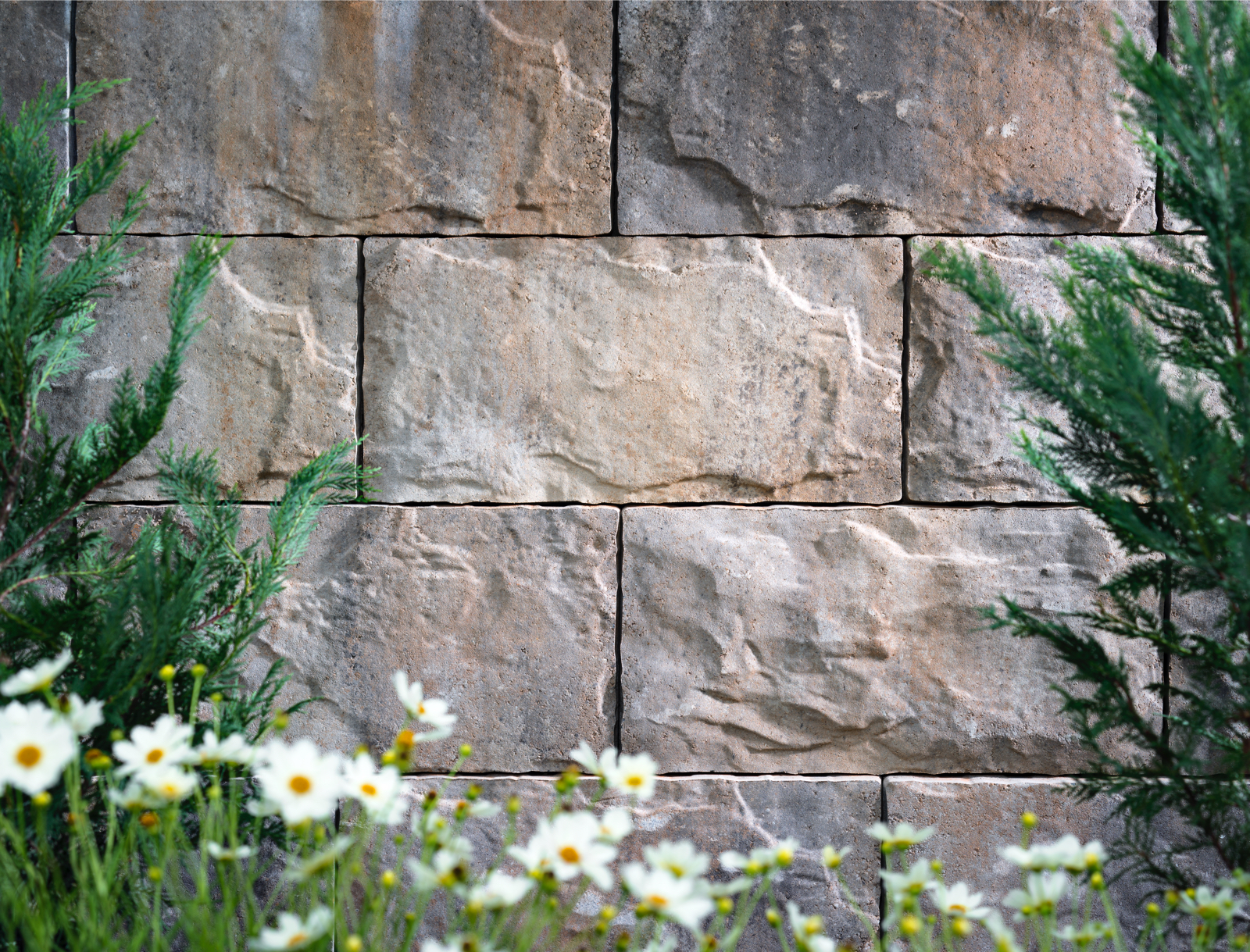 Belgard Mega-Tandem Wall Paver